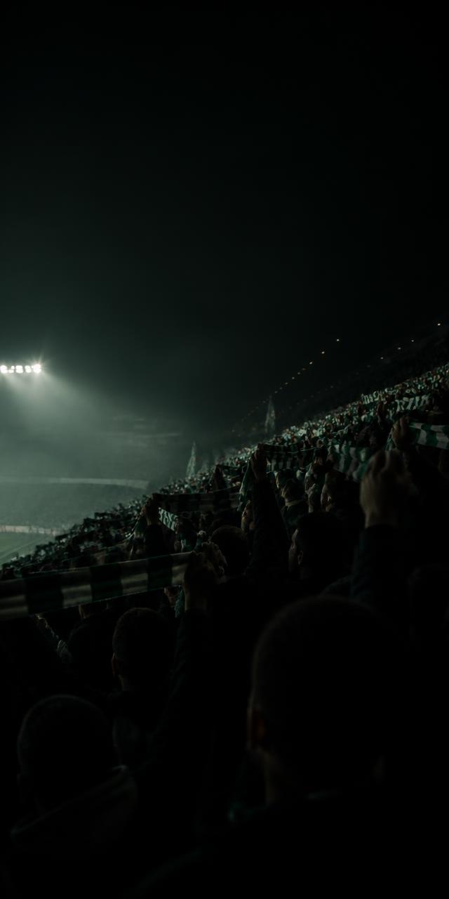 Una tribuna gremita di tifosi in festa